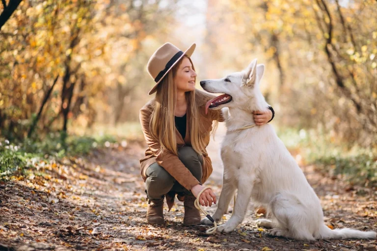 How to keep your dog healthy and active