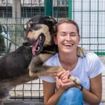 Kako posvojiti žival iz zavetišča: Koraki in nasveti za nov dom