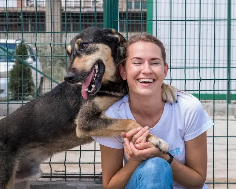 Kako posvojiti žival iz zavetišča: Koraki in nasveti za nov dom